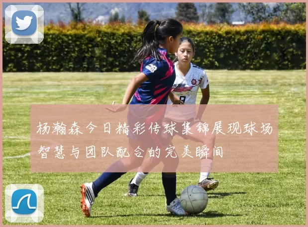 杨瀚森今日精彩传球集锦展现球场智慧与团队配合的完美瞬间