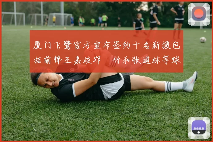 厦门飞鹭官方宣布签约十名新援包括前锋王嘉竣邓棽竹和张道林等球员